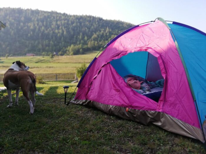 kampovanje u srbiji sator pas priroda