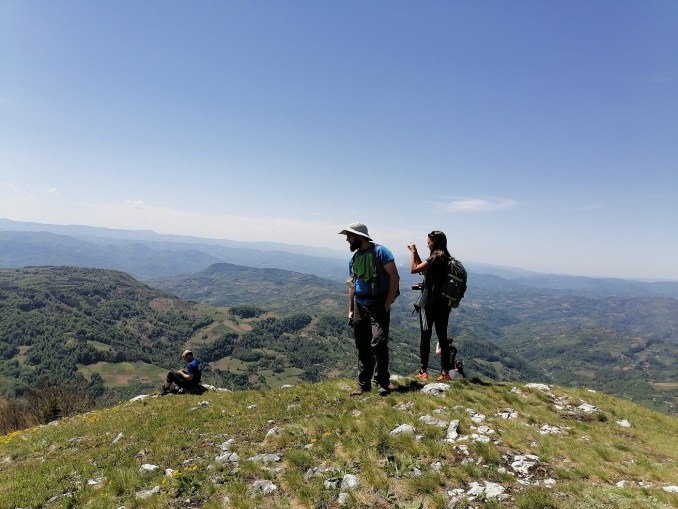 tornička bobija